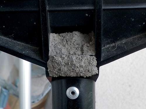 f:id:Naturalhistory:20210617173413j:plain