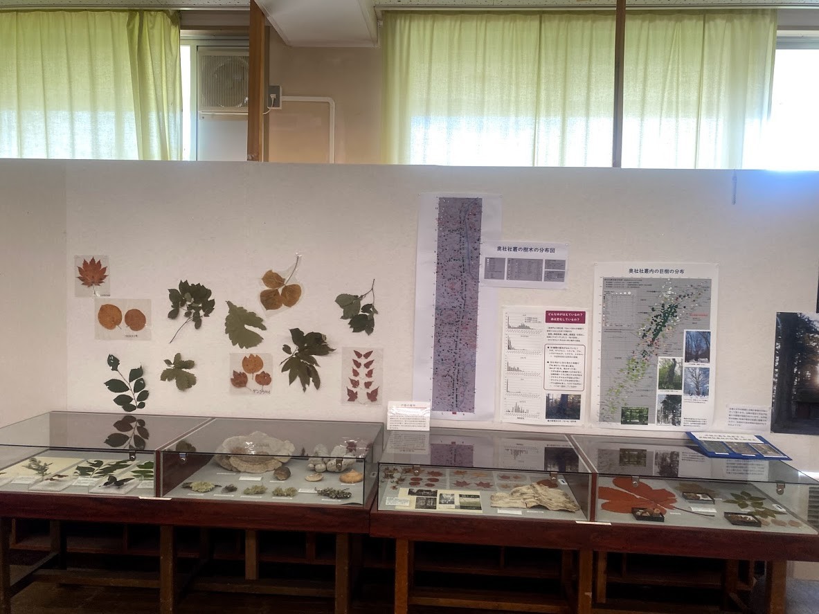 f:id:Naturalhistory:20210711142544j:plain