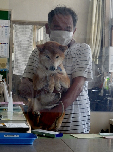 f:id:Naturalhistory:20210809112633j:plain