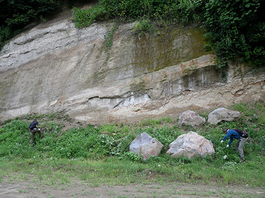 f:id:Naturalhistory:20210810094713j:plain