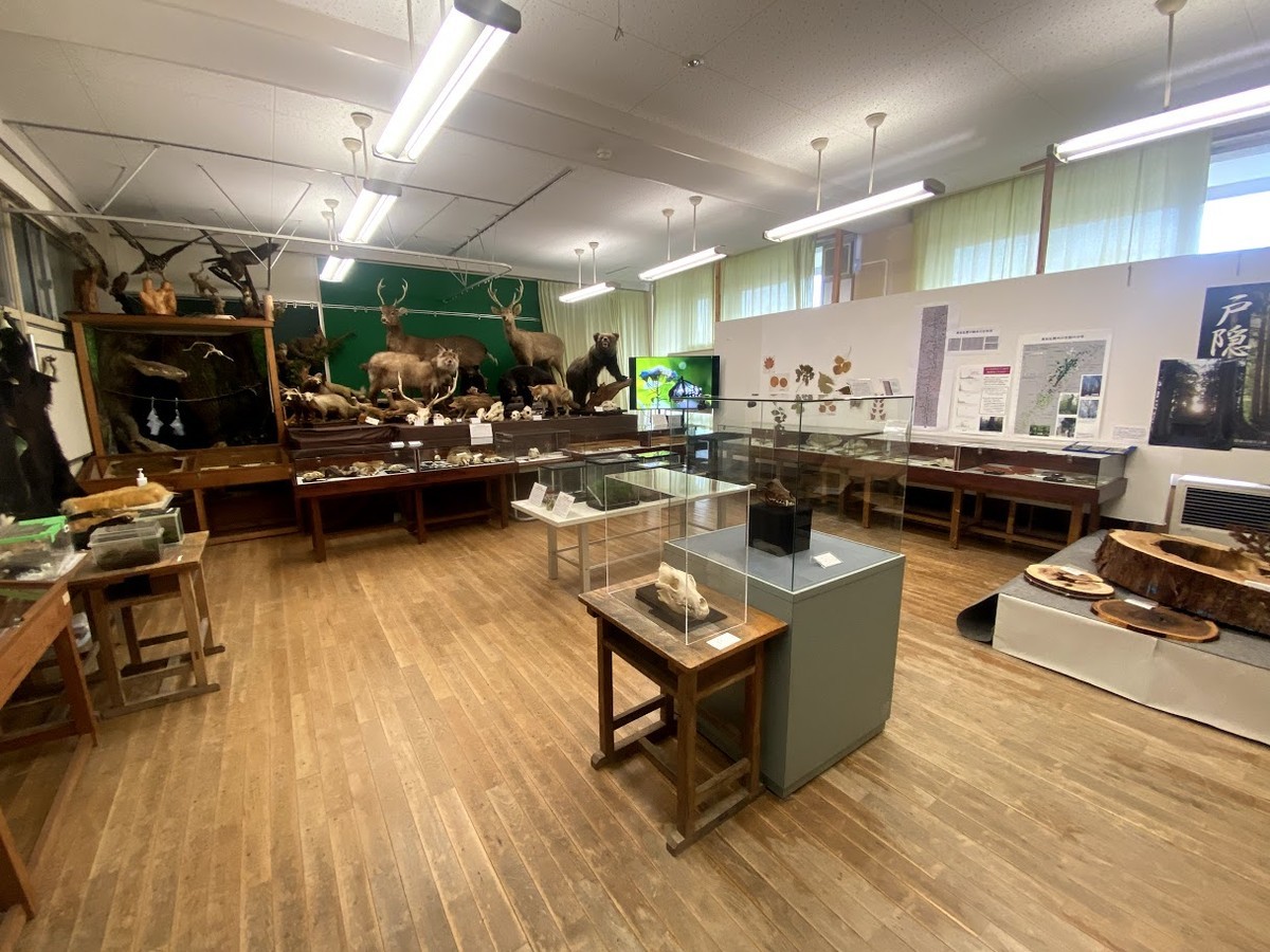 f:id:Naturalhistory:20210818160755j:plain