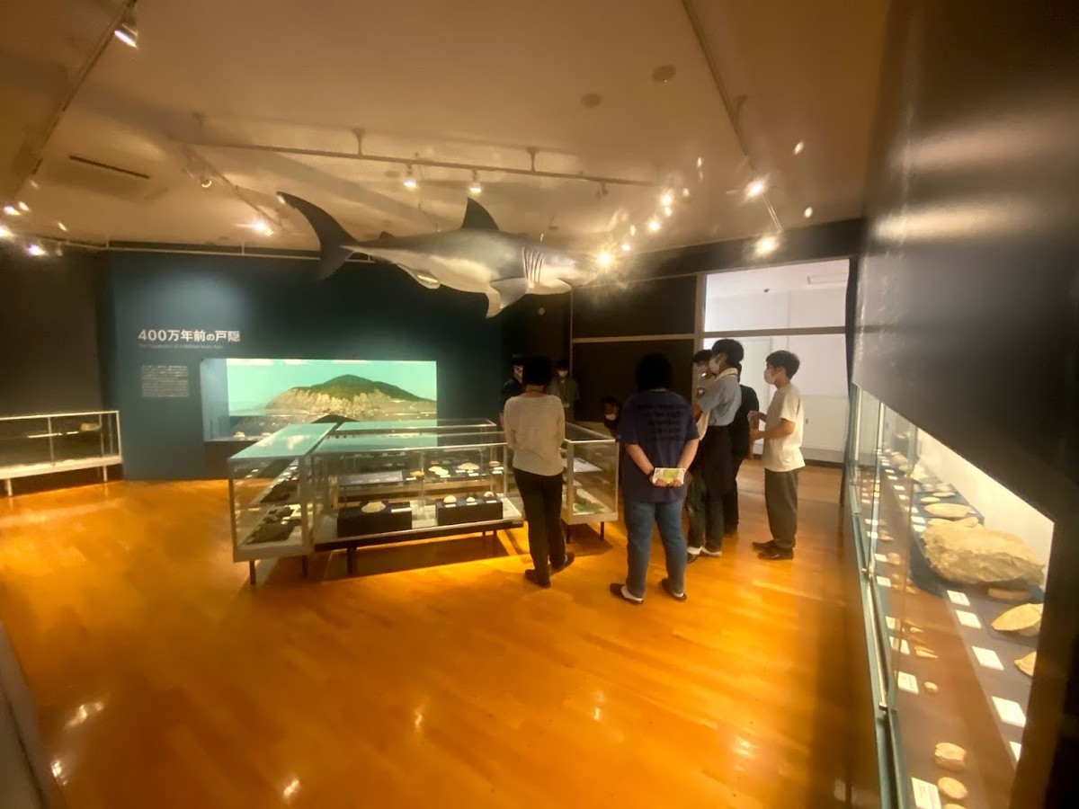 f:id:Naturalhistory:20210821154714j:plain