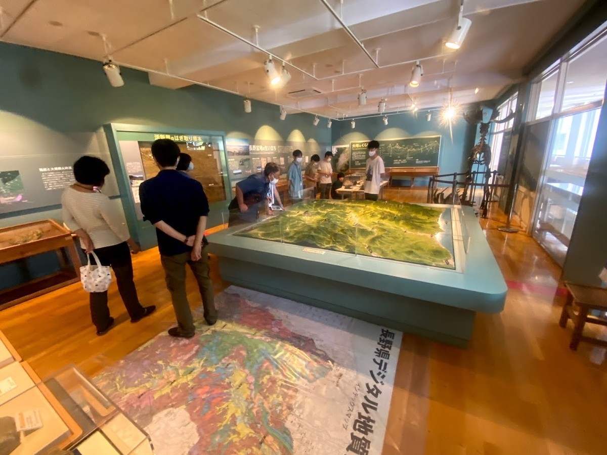 f:id:Naturalhistory:20210821154740j:plain