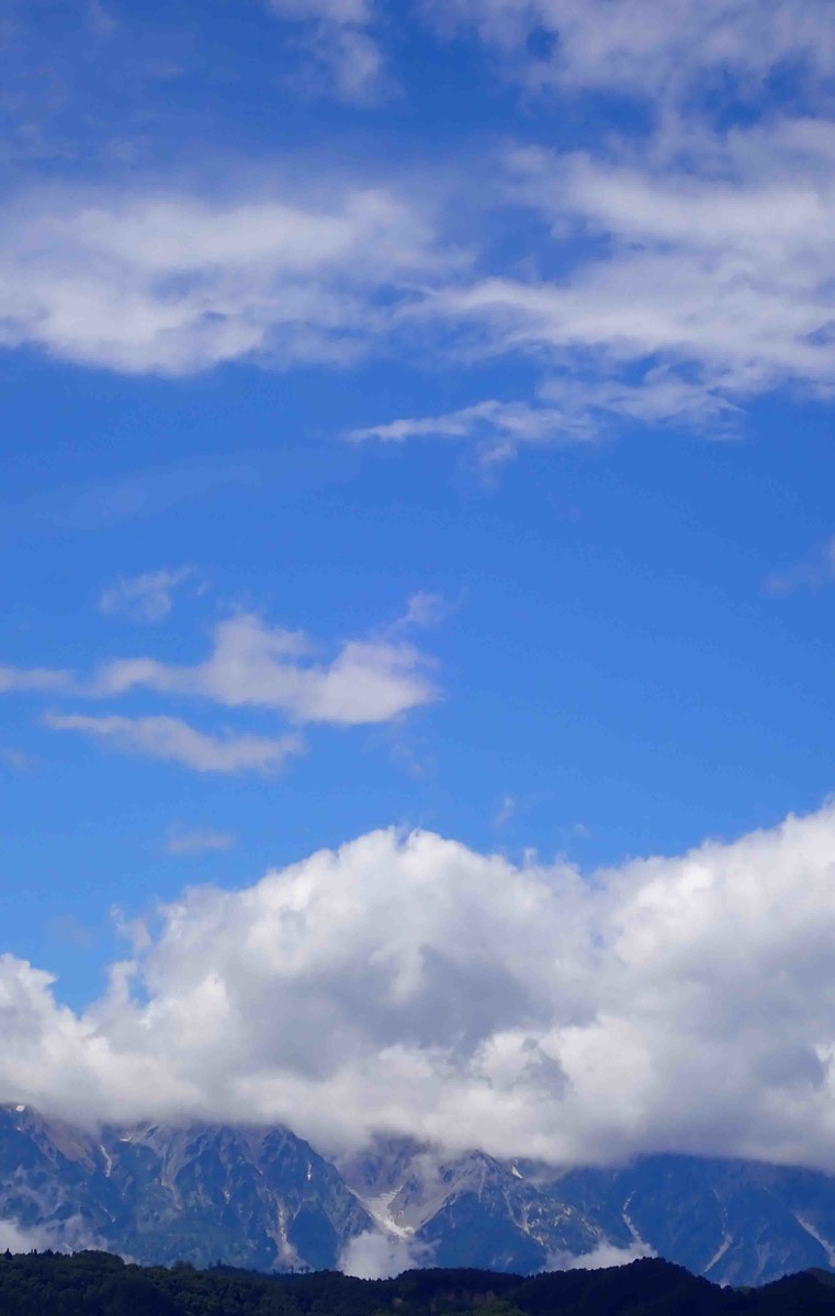 f:id:Naturalhistory:20210906120949j:plain