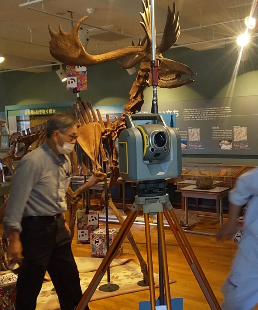 f:id:Naturalhistory:20210922164816j:plain