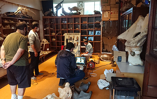 f:id:Naturalhistory:20210926095310j:plain