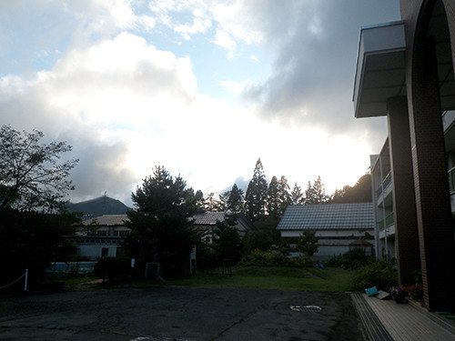 f:id:Naturalhistory:20210926170110j:plain