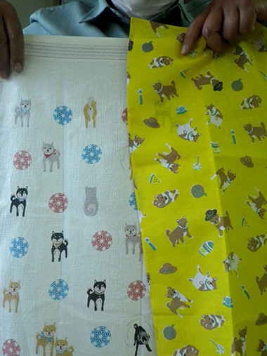 f:id:Naturalhistory:20210926170345j:plain