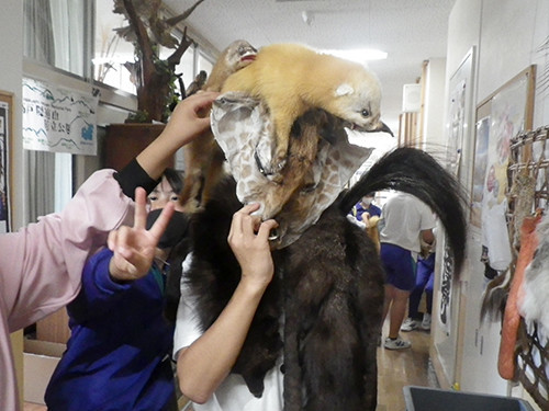 f:id:Naturalhistory:20210928134435j:plain