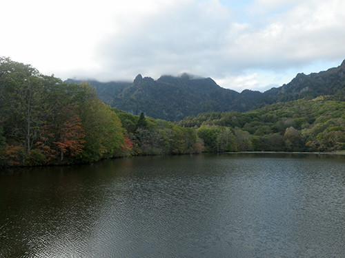 f:id:Naturalhistory:20211018155503j:plain
