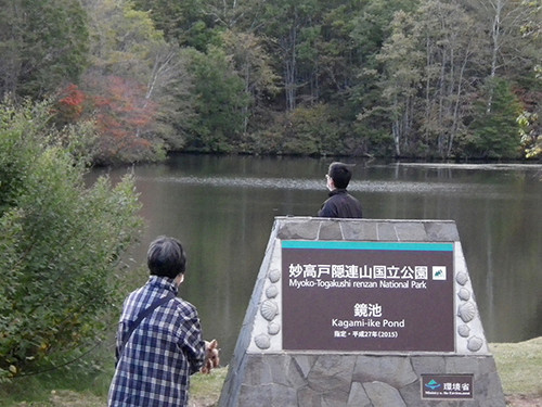 f:id:Naturalhistory:20211018160149j:plain