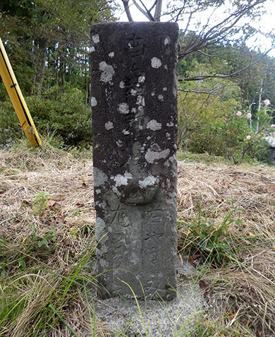 f:id:Naturalhistory:20211022132701j:plain