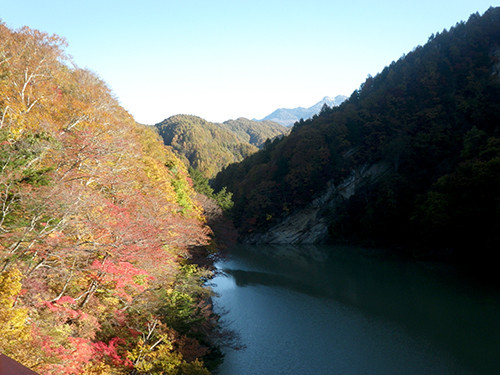 f:id:Naturalhistory:20211030081348j:plain