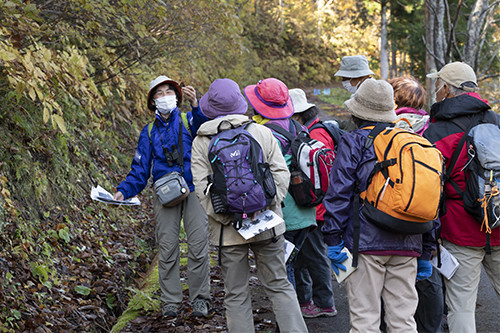 f:id:Naturalhistory:20211030091658j:plain