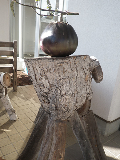 f:id:Naturalhistory:20211107135342j:plain