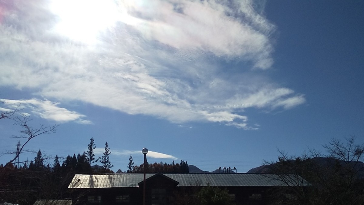 f:id:Naturalhistory:20211114151501j:plain