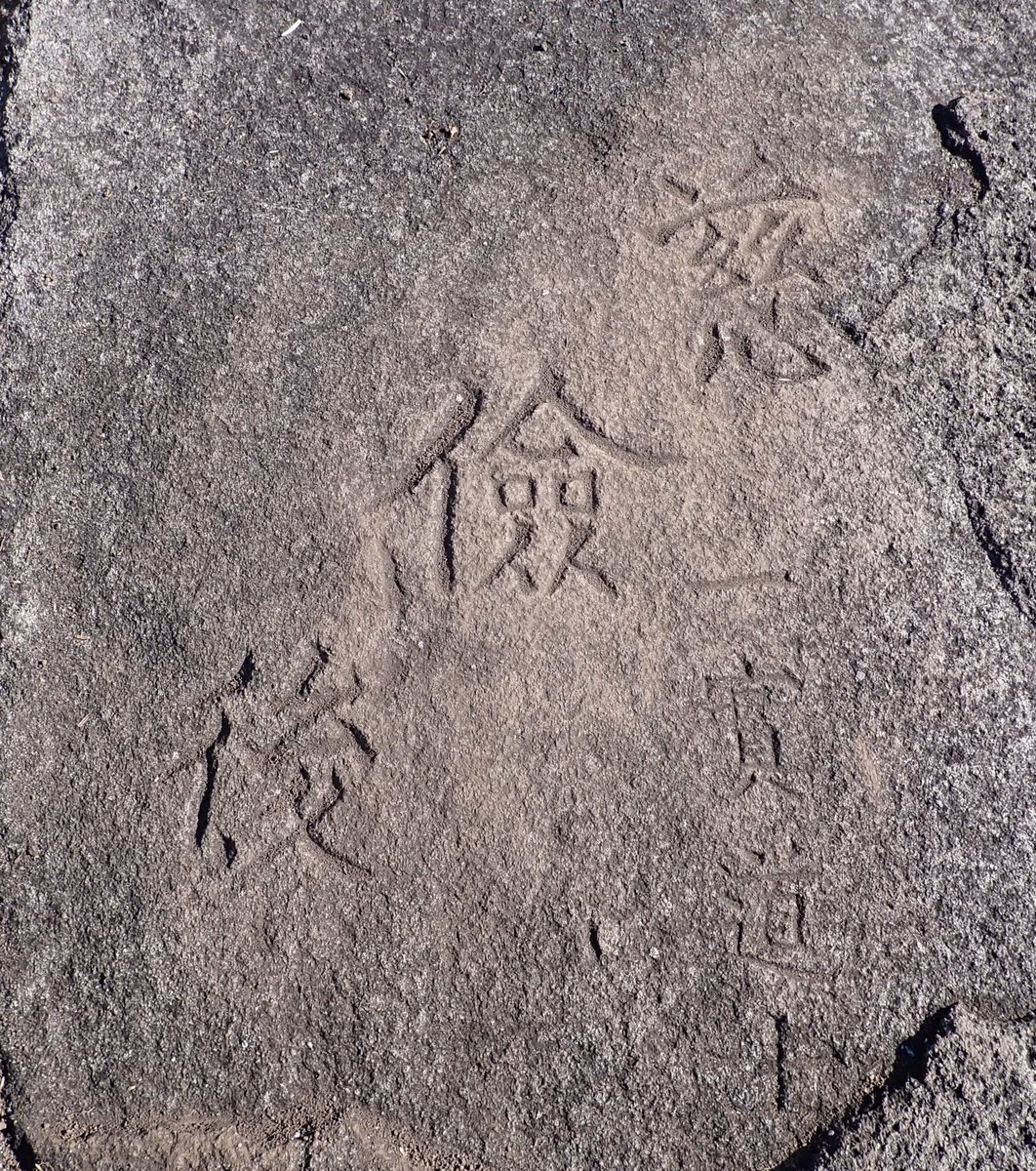 f:id:Naturalhistory:20211117111541j:plain