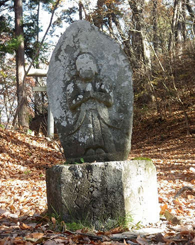 f:id:Naturalhistory:20211119133740j:plain