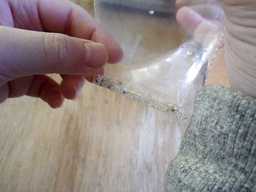 f:id:Naturalhistory:20211125124959j:plain
