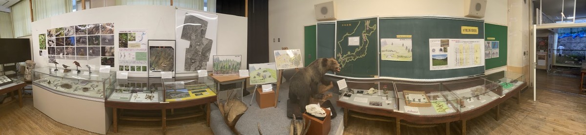 f:id:Naturalhistory:20211127161415j:plain