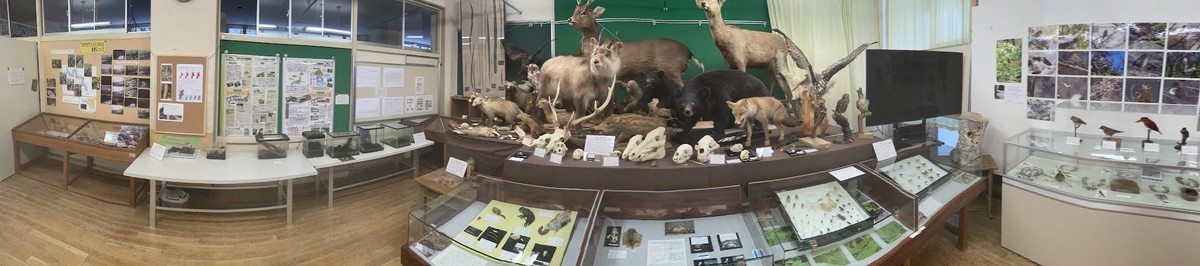 f:id:Naturalhistory:20211127161428j:plain