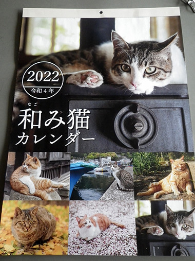 f:id:Naturalhistory:20211208141530j:plain