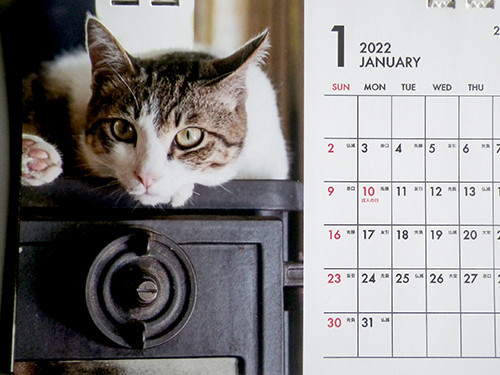 f:id:Naturalhistory:20211208141711j:plain