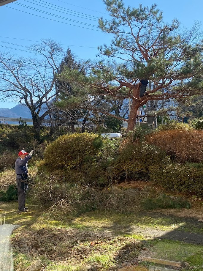 f:id:Naturalhistory:20211212154601j:plain