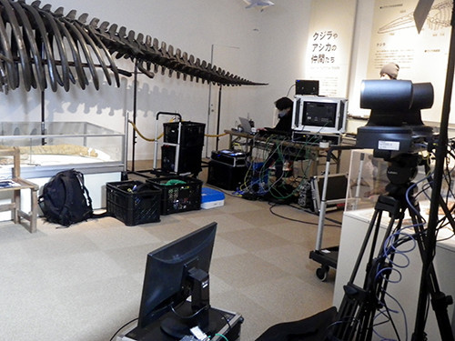 f:id:Naturalhistory:20211218172343j:plain
