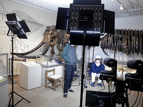f:id:Naturalhistory:20211218172601j:plain