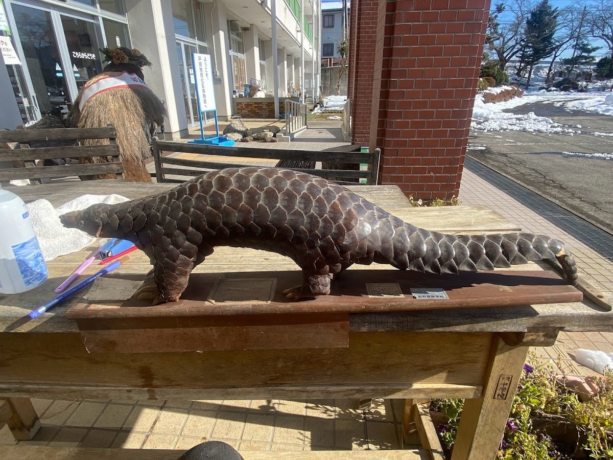 f:id:Naturalhistory:20211225155144j:plain