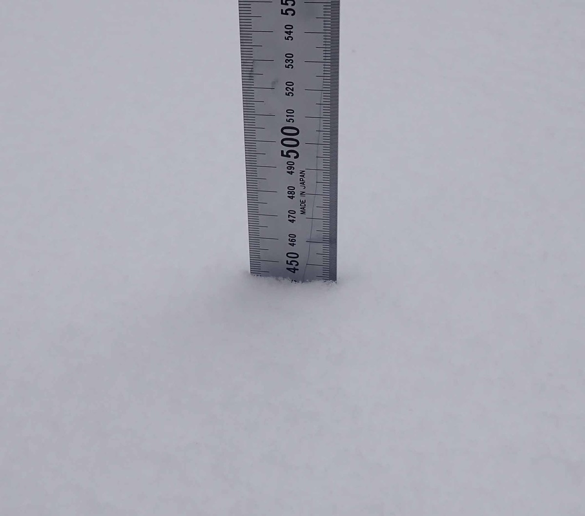 f:id:Naturalhistory:20220202124101j:plain