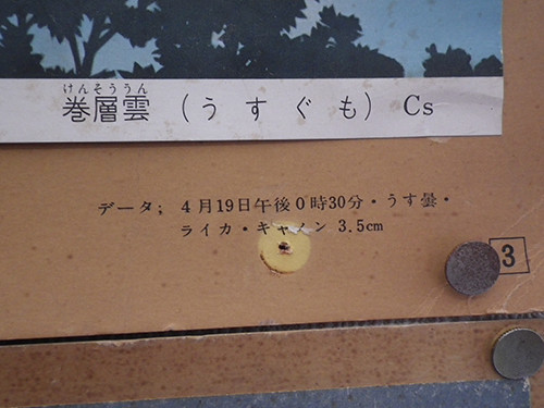 f:id:Naturalhistory:20220308150651j:plain