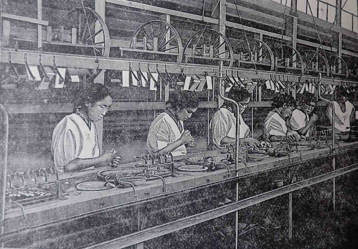 f:id:Naturalhistory:20220316121641j:plain