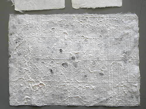 f:id:Naturalhistory:20220324131231j:plain
