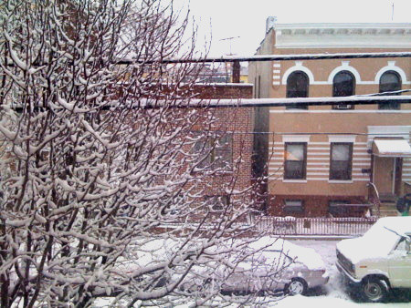 f:id:Nayuki:20081219143039j:image:w280 f:id:Nayuki:20081219143039j:image:w280