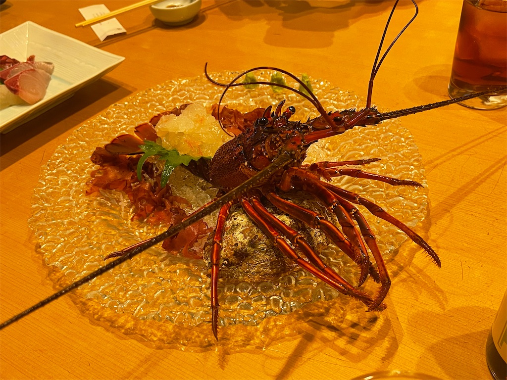 f:id:Nazonohuman:20230220111555j:image