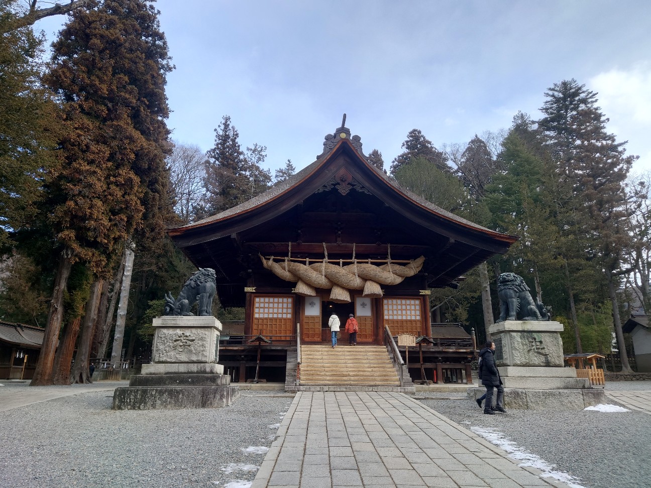 f:id:NecraCancer:20260201214831j:image f:id:NecraCancer:20260201214831j:image