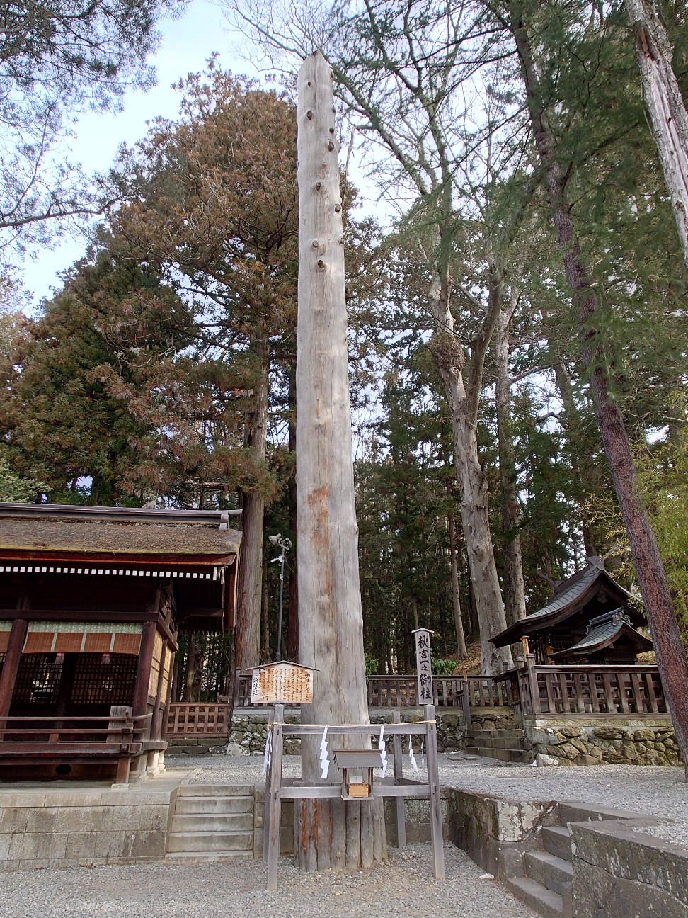 f:id:NecraCancer:20260201215916j:image f:id:NecraCancer:20260201215916j:image