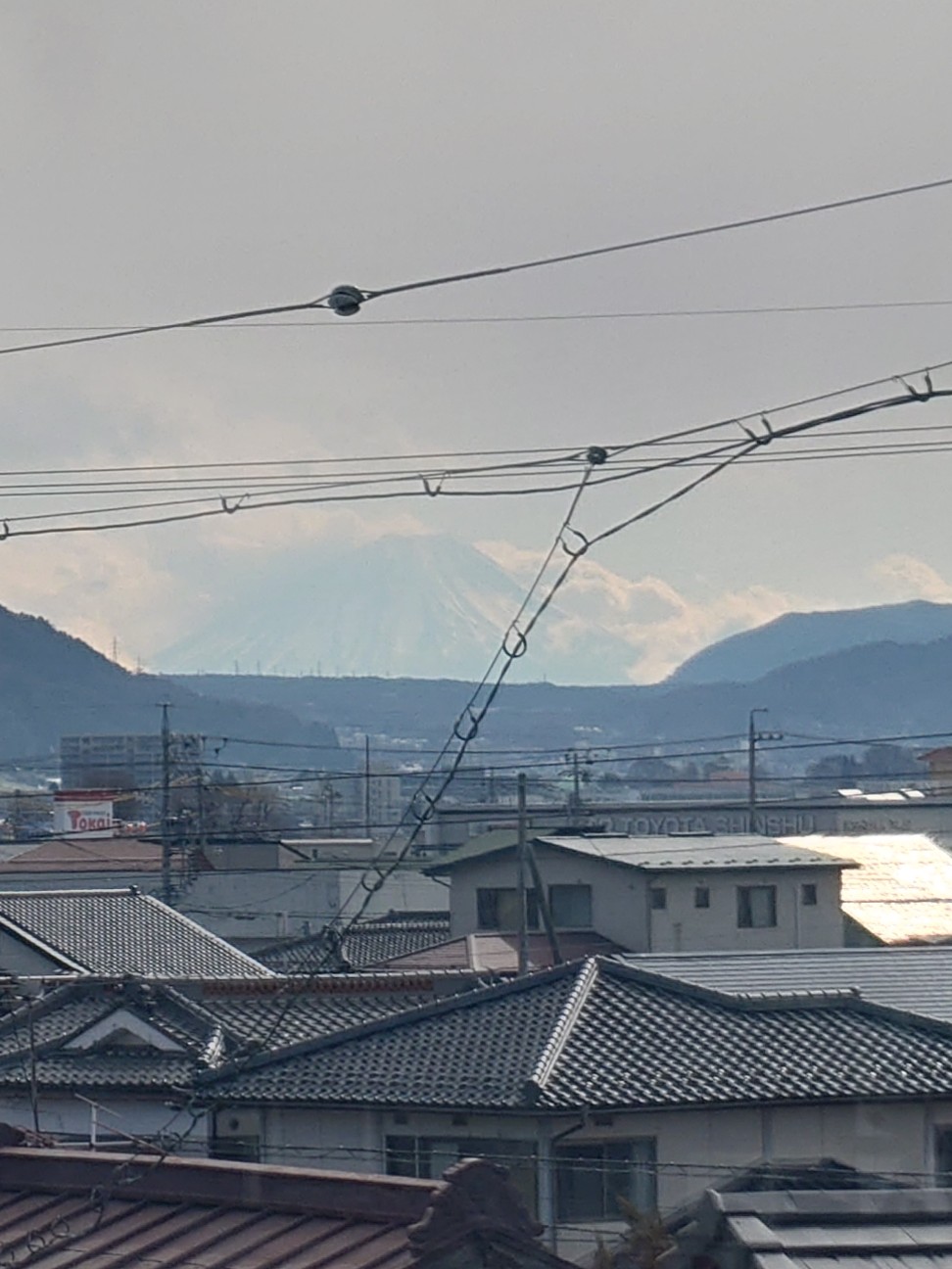 f:id:NecraCancer:20260201222840j:image f:id:NecraCancer:20260201222840j:image