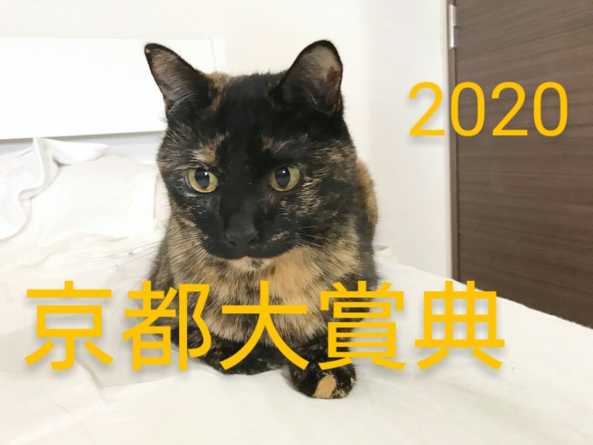 f:id:Nekokeiba:20201011091442j:plain f:id:Nekokeiba:20201011091442j:plain