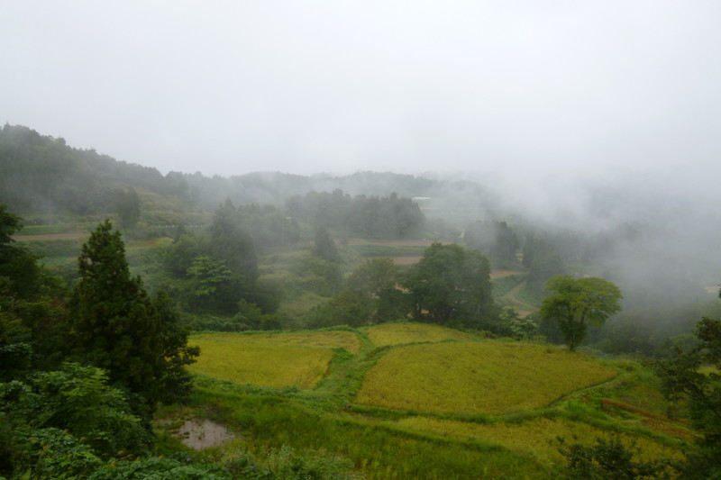 f:id:Nekomajin:20120923102606j:image:w600