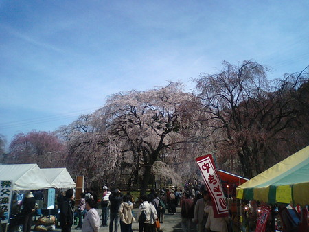 f:id:Nekomanma:20080405102438j:image f:id:Nekomanma:20080405102438j:image