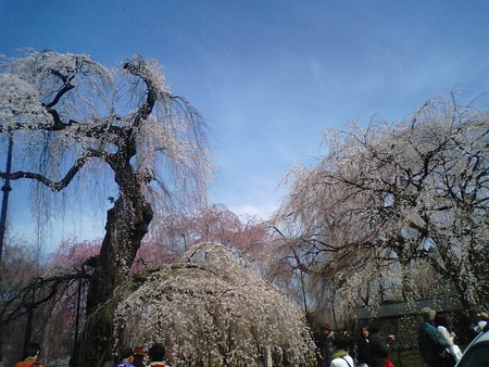 f:id:Nekomanma:20080405102610j:image f:id:Nekomanma:20080405102610j:image