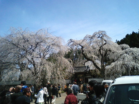 f:id:Nekomanma:20080405102647j:image f:id:Nekomanma:20080405102647j:image