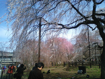 f:id:Nekomanma:20080405102727j:image f:id:Nekomanma:20080405102727j:image