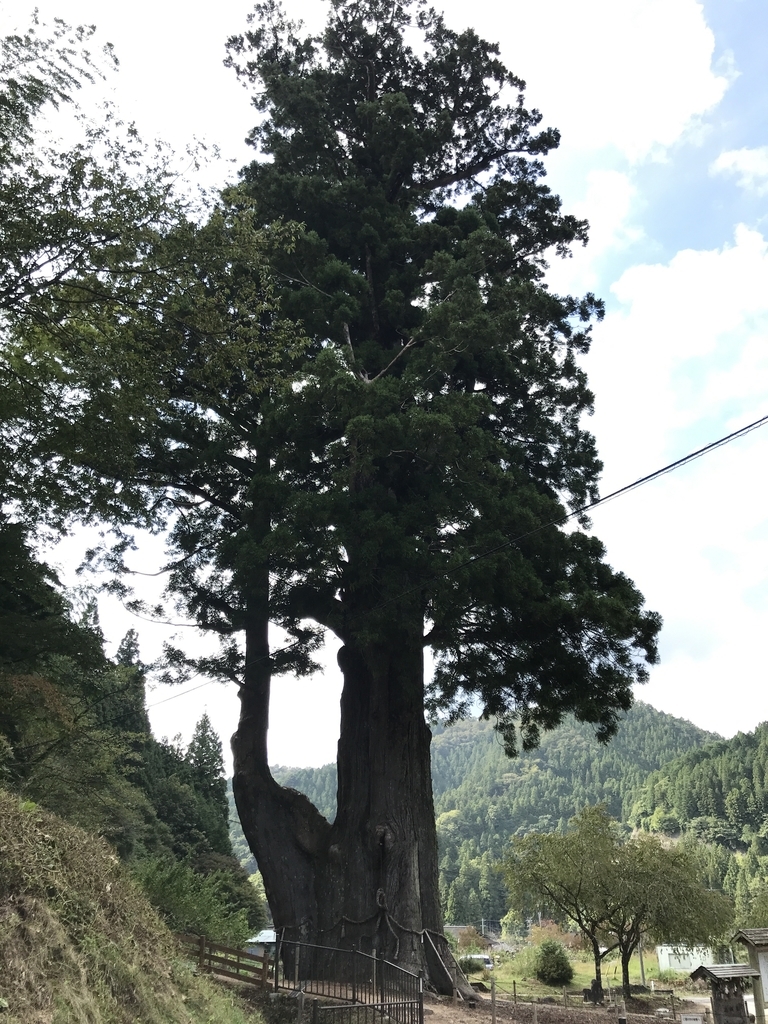 f:id:Nekonbu:20180926060138j:plain f:id:Nekonbu:20180926060138j:plain