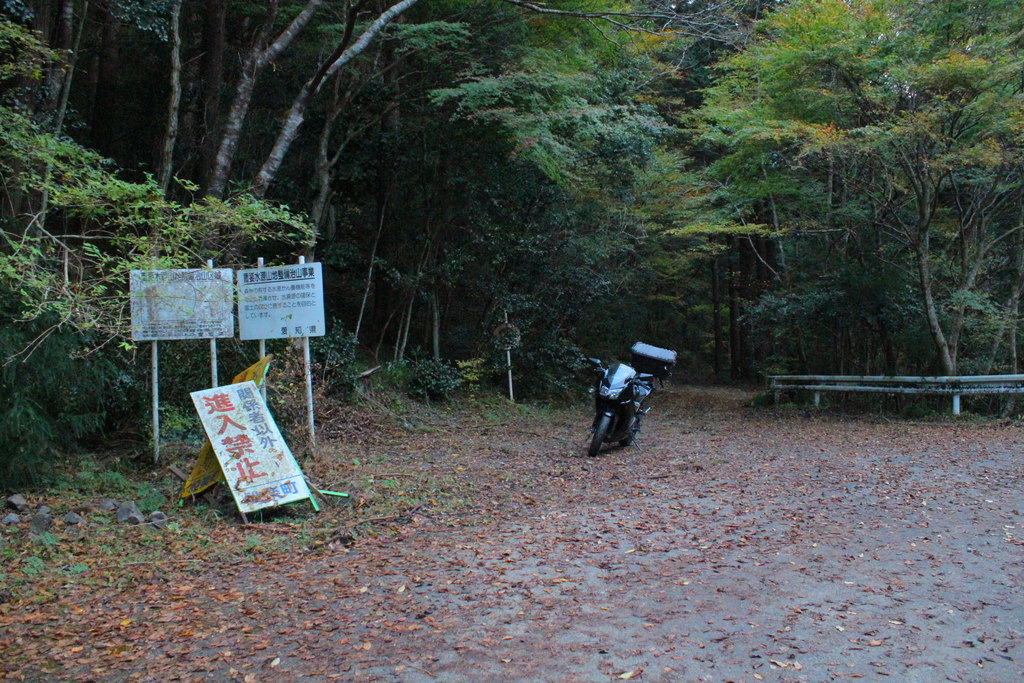 f:id:Nekonbu:20181119002634j:plain