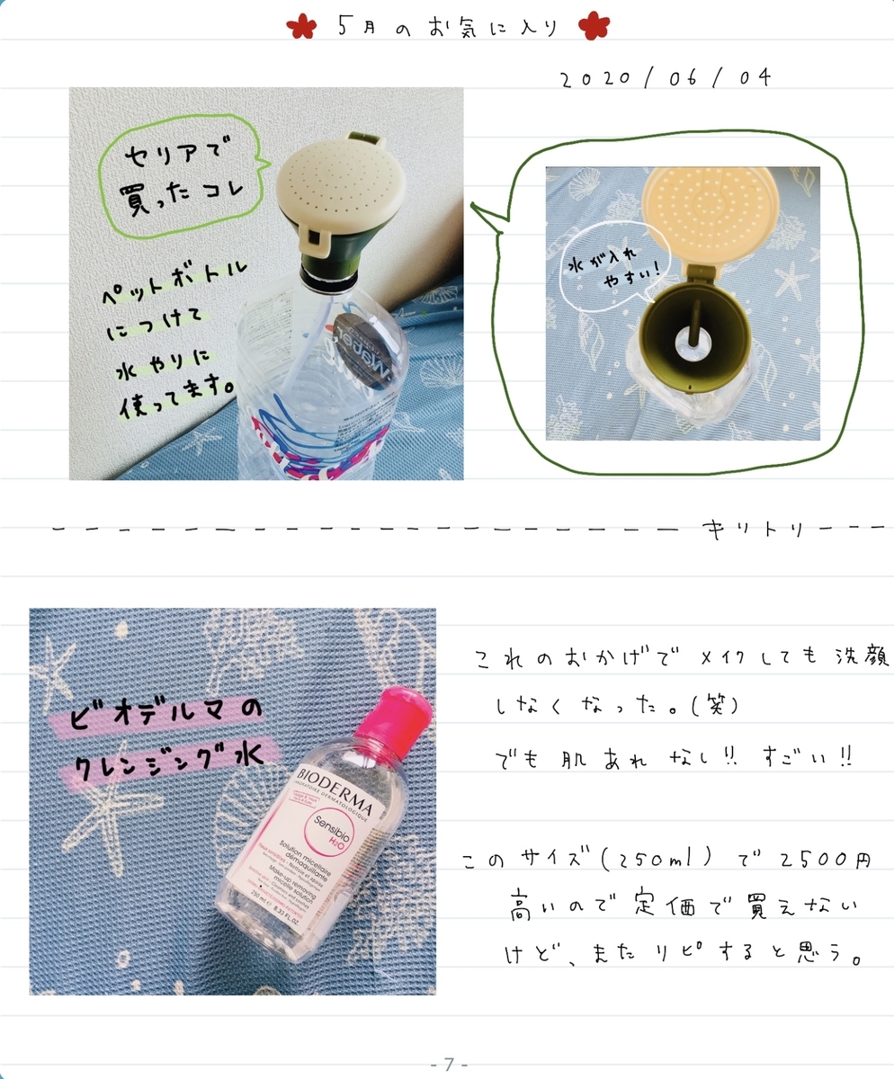 f:id:Nekoten:20200604175016j:plain