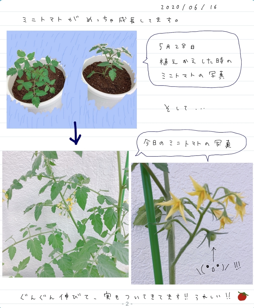 f:id:Nekoten:20200616180331j:plain